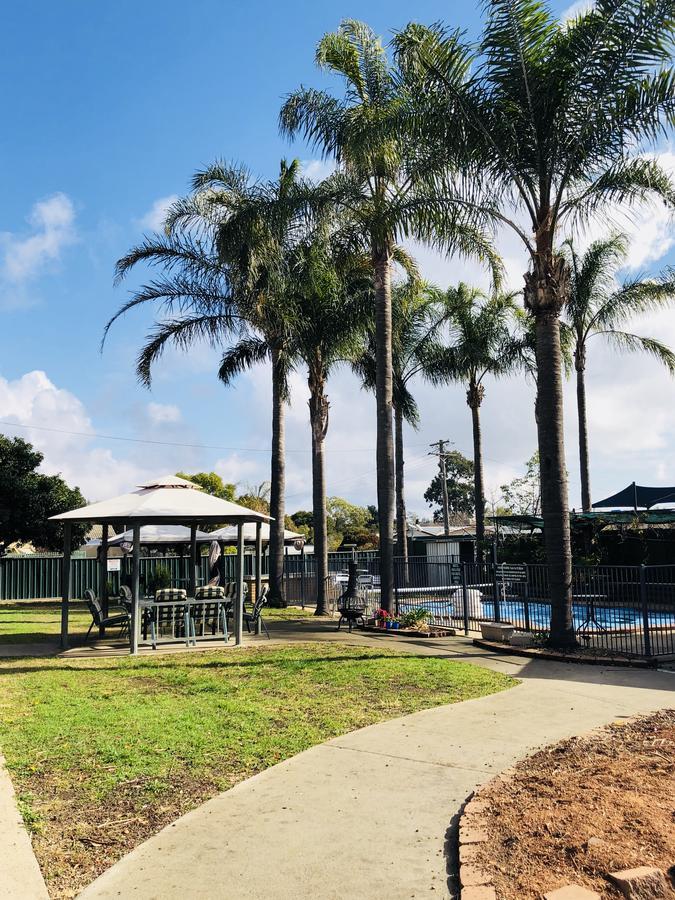 Tamworth Central Motel Dış mekan fotoğraf