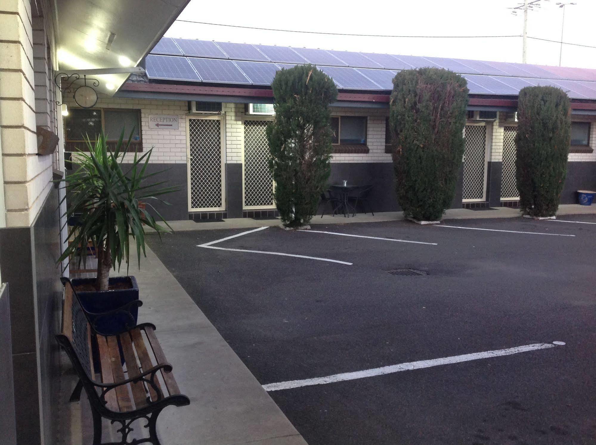 Tamworth Central Motel Dış mekan fotoğraf